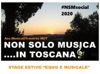 #NSMsocial